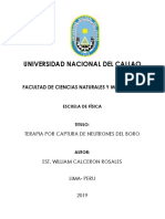 Terapia Por Captura de Neutrones en Boro