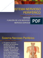 5 Sistema Nervioso Periférico