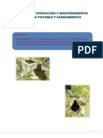 Exportacion PDF