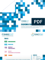 Esquemas Financieros Fondecyt 2015 PDF