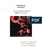 Microbiology Assignment: Microbial Diversity Mollicutes