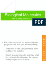 Biological Molecules: The Building Blocks of Life