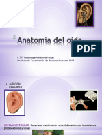 Anatomía Del Oído