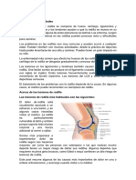 La Rodilla - Ciencias Naturales