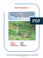 Informe Recreo Lamas