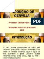 Aula Produção Cerveja Cecon PDF