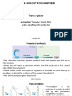 Bm101: Biology For Engineers: Instructor: Yashveer Singh, PHD