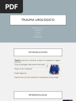 Trauma Urológico