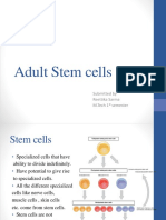 Adult Stem Cells: Submitted by Reettika Sarma M.Tech 1 Semester