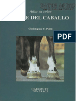 El Pie Del Caballo