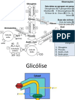 002GLICOLISE