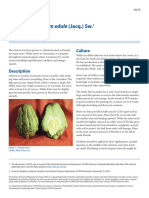 Chayote-Sechium Edule (Jacq.) SW.: Culture