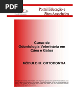 Odontologia de Caes de Gatos