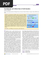 The Molecular and Cellular Basis of Cold Sensation: David D. Mckemy