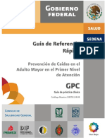 Caídas (Prevención, Adulto Mayor) GRR PDF