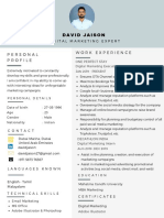 David Jaison - Digital Marketing Resume Example