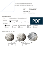 Lembar Deskripsi Petrografi Acara: Batuan Sedimen Karbonat