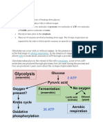 Glycolysis: Cellular Respiration Cells Cytoplasm