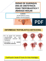 Embarazo Molar