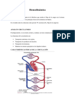 HEMODINAMICA