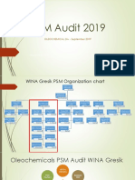 PSM Audit Sept 2019