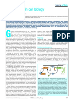 Rho GTPases in Cell Biology