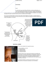 Fisioterapia de La Paralisis Facial