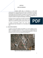 Informe Practicas Preprofecionales Huari