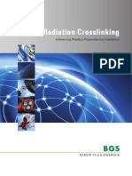 BGS Radiation Crosslinking En-1 PDF