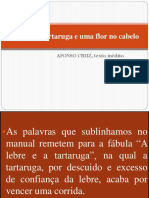 A Lebre, A Tartaruga e Uma Flor No Cabelo P. 86