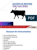 Vaccine Ijaz