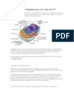 Estudo Dirigido para o 8º Ano Do E