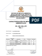 CAP IX Caracterizacion de Impactos