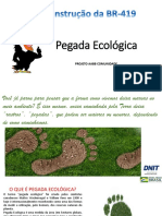 Pegada Ecológica