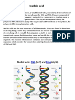 Nucleic Acid Metabolism