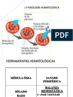 Fisiología Hematológica