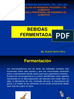 Bebidas Fermentadas