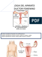 Aparato Reproductor Femenino