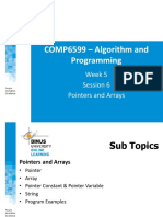 PPT05-COMP6599-Pointer and Arrays-R0