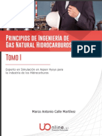 Tomo I - Principios de Ingenieria de Gas Natural Hidrocarburos PDF