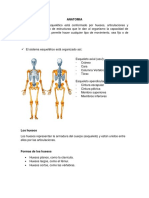 Seminario Musculoesqueletico