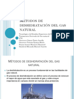 Deshidratacion de Gas