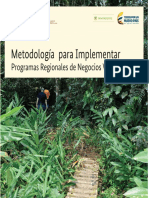 Metodologia para Implementar PRNV PDF