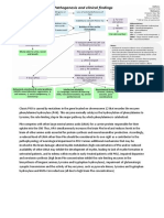 Phenylketonuria Pathogenesis