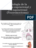 Feocromocitoma