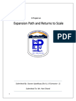 Returns To Scale Expansion Path