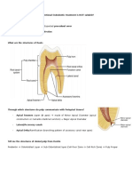 Endodontic Notes