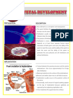 Fetal Development