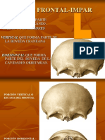 Frontal, Etmoides y Esfenoides - PPT Versión 1