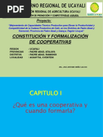 Las Cooperativas - Formalizacion JNA Ok